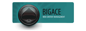 BIGACE CMS